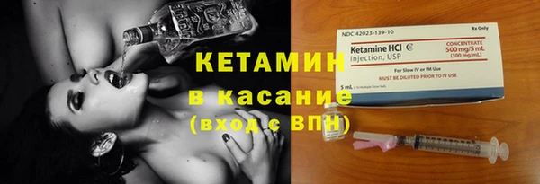 шишки Богородицк