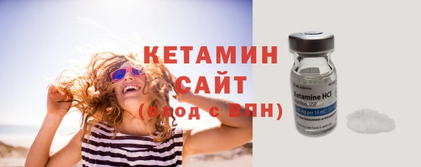 шишки Богородицк