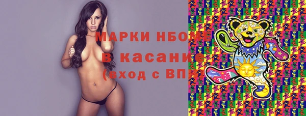 шишки Богородицк