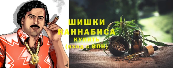 гашик Балахна