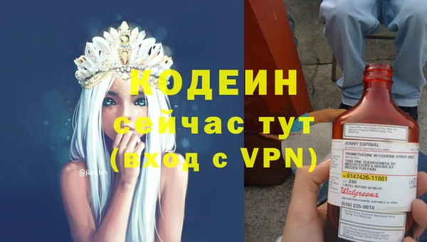 шишки Богородицк