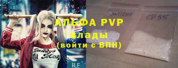шишки Богородицк