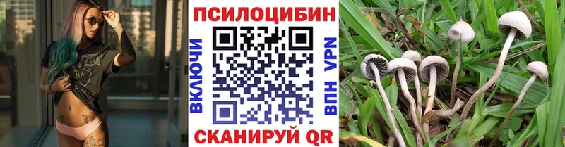 Псилоцибиновые грибы Psilocybe  МЕГА ССЫЛКА  Верхняя Тура 